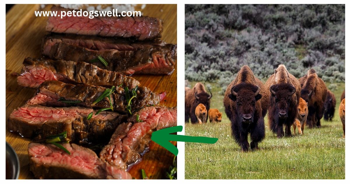 Bison Meat for Dog Food