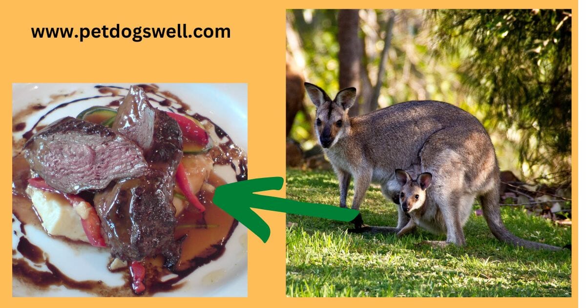Kangaroo Meat for Dog Food