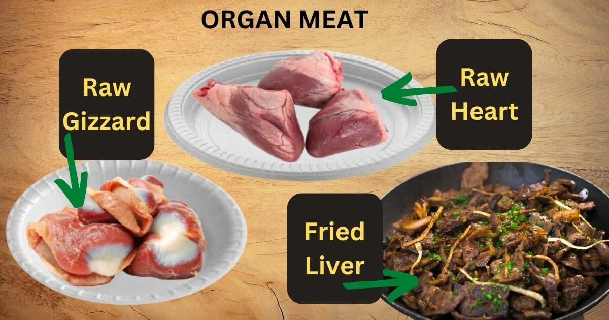 Organ Meat for Dog Food