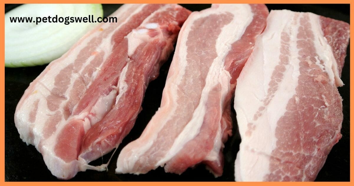 Pork Best Meat  for Dog Food