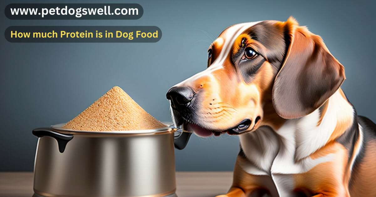How much Protein is in Dog Food
