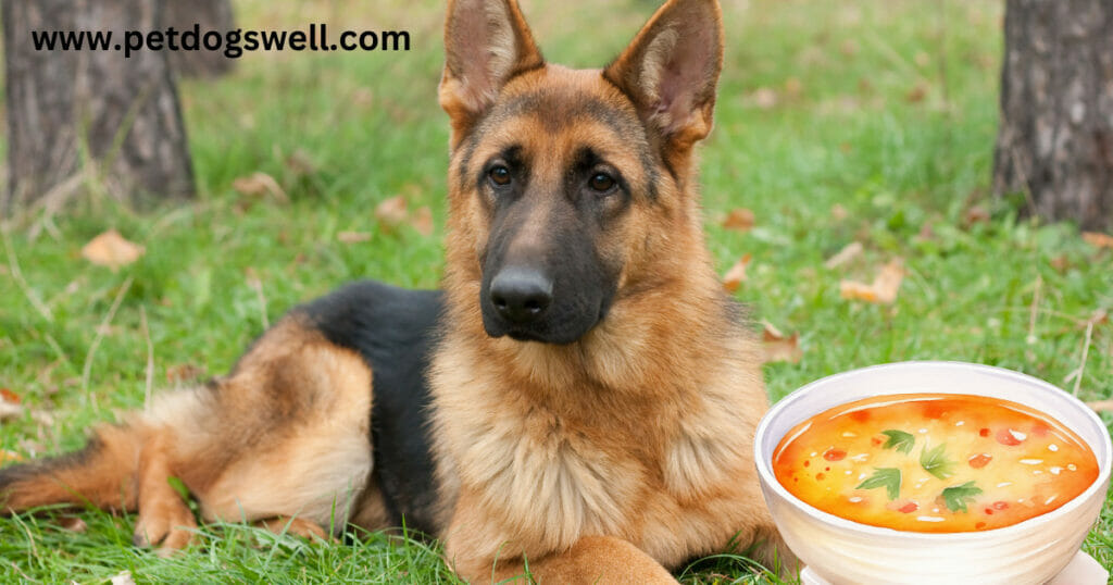 best dog food for german shepherds with hip dysplasia