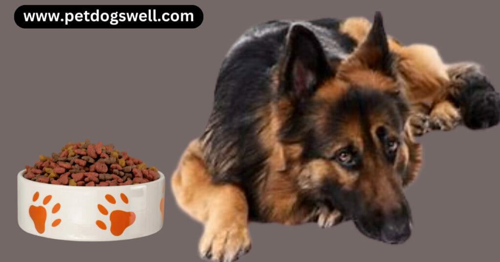 best dog food for german shepherds with sensitive stomachs