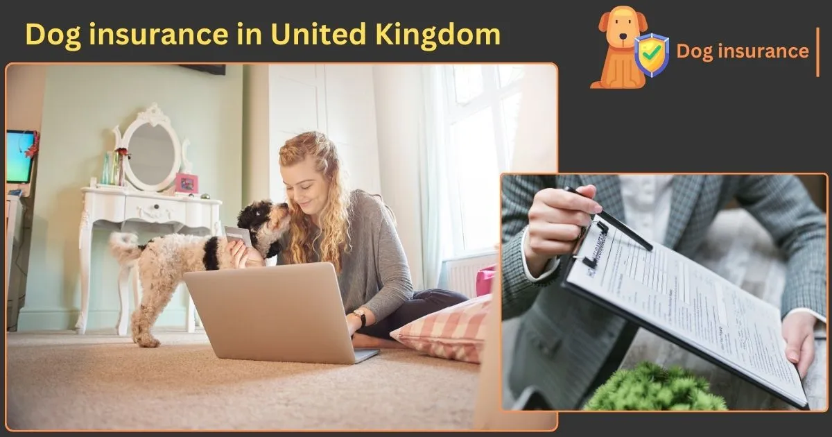 Dog health Insurance in UK