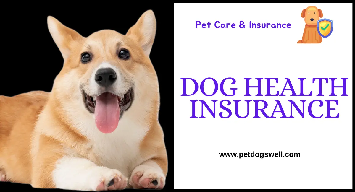 dogs health insurance